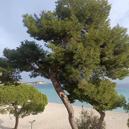 홈스테이 La Perla Sul Mare